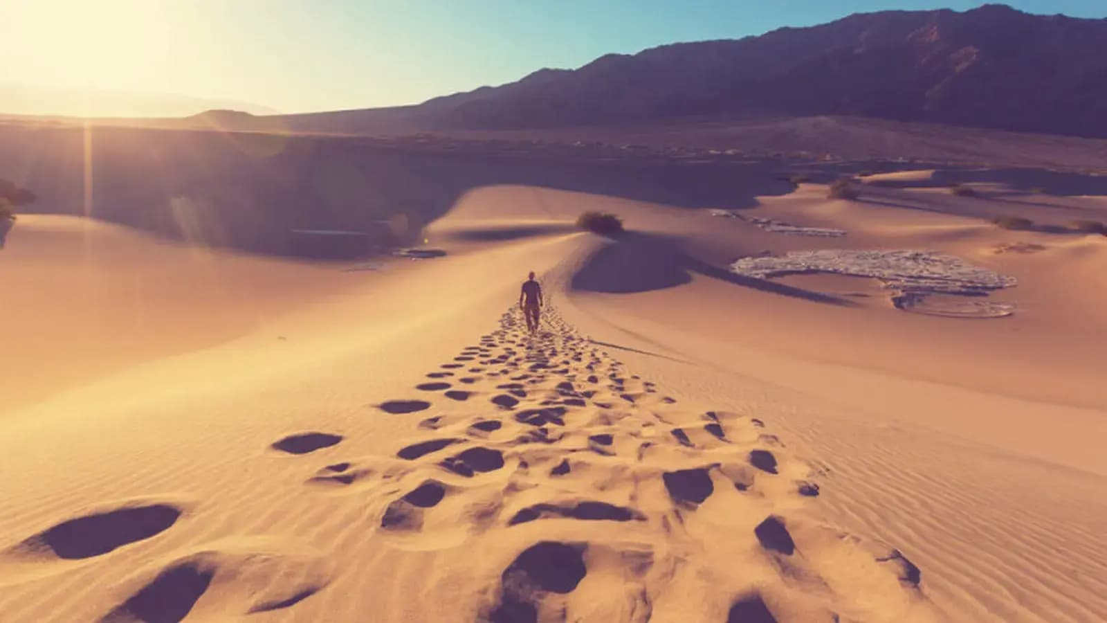 Envision lanza Mission Gobi para impulsar IA con energía renovable en desiertos